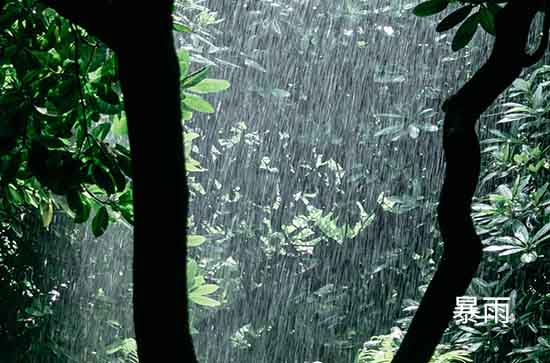 10月18日烟台会下雨 今日暴雨转阴温度19℃~8℃