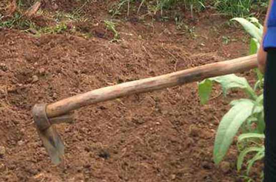 2023五一免几天过路费吗 2023五一高速公路免费详情 2023五一免几天过路费吗 2023五一高速公路免费详情