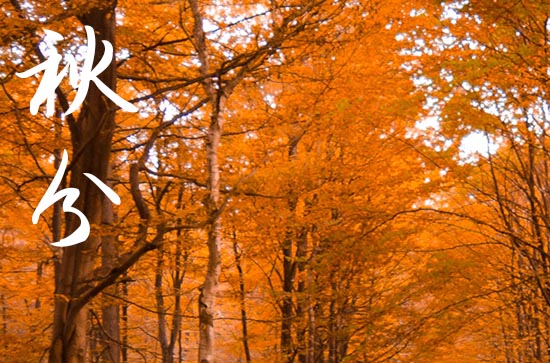 2024年秋分农历时间 2024年秋分弄交驰可以吗