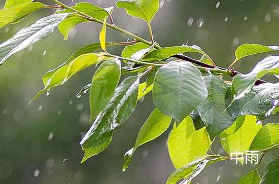益阳6月24日天气预报:高温23℃~低温20℃，中雨转雨，会下雨