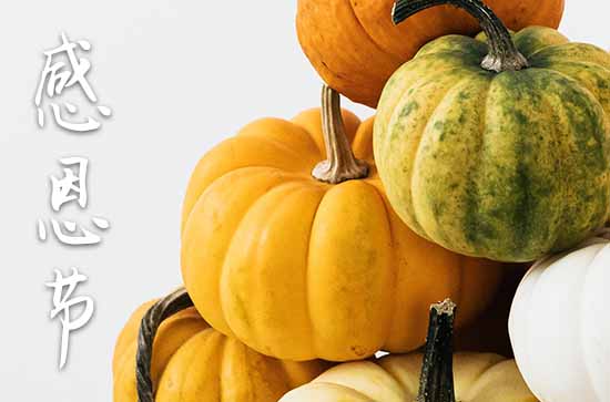 2024年感恩节是多少号