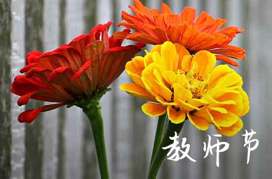 2023年教师节天气预报 这有一份最新全国教师节天气地图请查收
