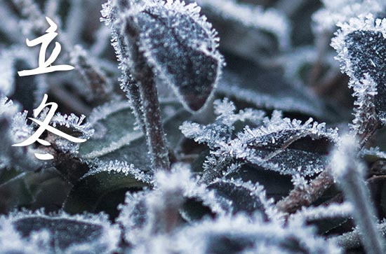 立冬是几月几号2024年 2024年立冬弄乔迁新居适合吗