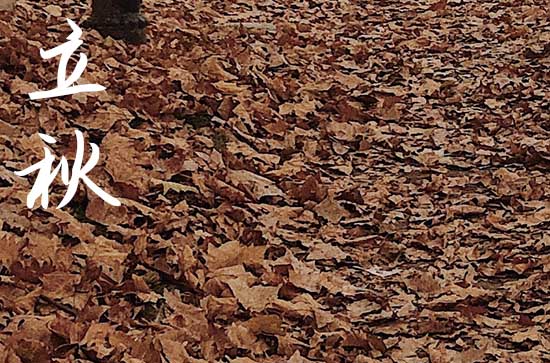 立秋为什么要吃饺子 立秋吃什么