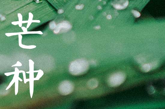 芒种节气唯美治愈文案（经典100句）