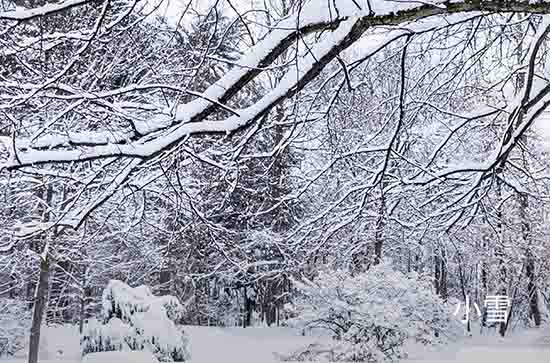 阿坝11月5日天气预报:高温9℃~低温-5℃，小雪转阴，不会下雨
