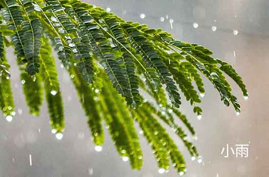 7月3日白山会下雨 今日小雨温度21℃~17℃