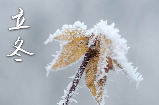 2024年立冬几月几日 2024年立冬弄满月酒可以吗