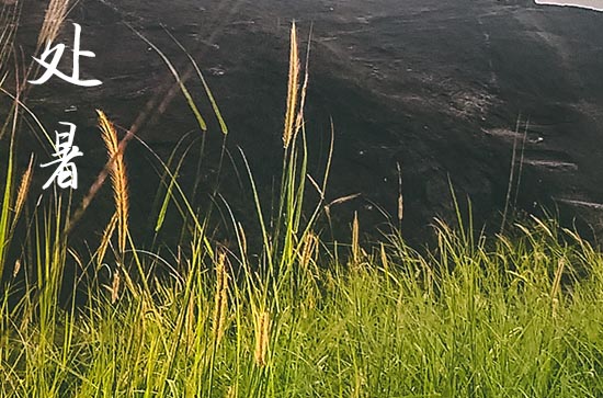 2024年处暑节气是哪一天 处暑节气的习俗