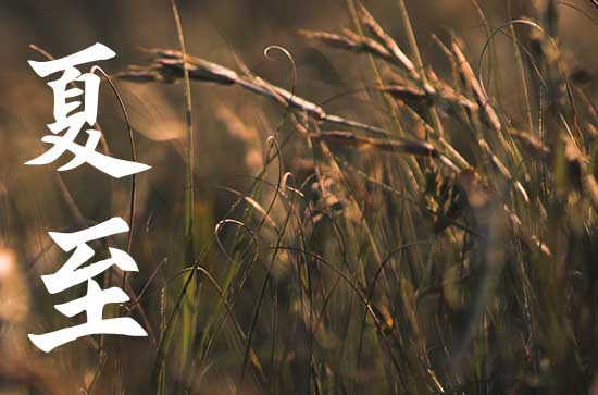 2024年夏至节气具体时间 几月几日几点几分夏至