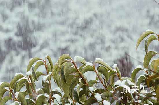 10月21日鄂尔多斯会下雨 今日雨夹雪温度4℃~-2℃