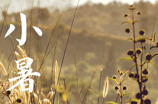 2024年小暑是入伏第一天么,小暑是入伏的意思吗