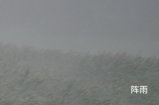 珠海6月7日天气预报:高温30℃~低温25℃，阵雨转雨，会下雨