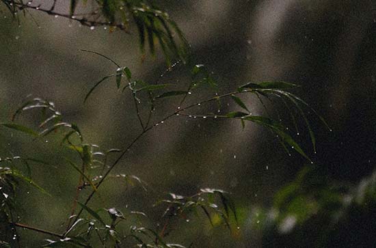 8月8日开封会下雨 今日小雨转阴温度32℃~25℃