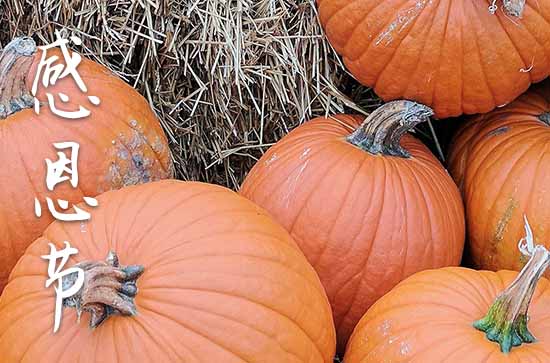 2024年感恩节是什么时间