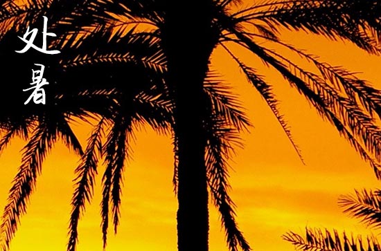 2024年处暑晚上是不是凉快了 2024年处暑晚上是不是凉快了