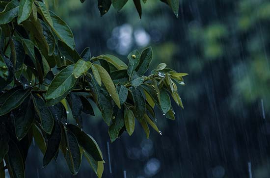 广元10月30日天气预报:高温20℃~低温10℃，小雨，会下雨