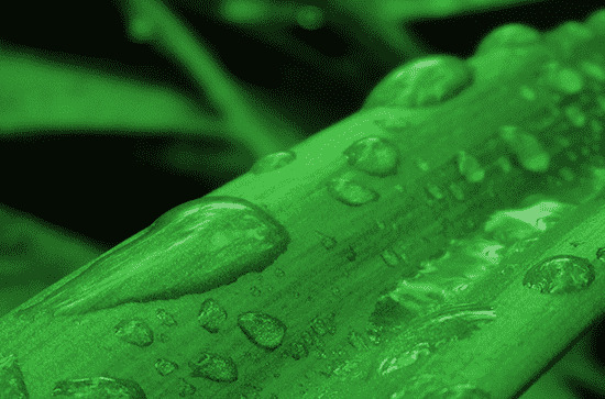                     江西23日降雨减弱 明天部分地区仍有阵雨或雷雨                    