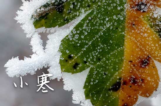 2024小寒快乐祝福短信大全（通用50句）