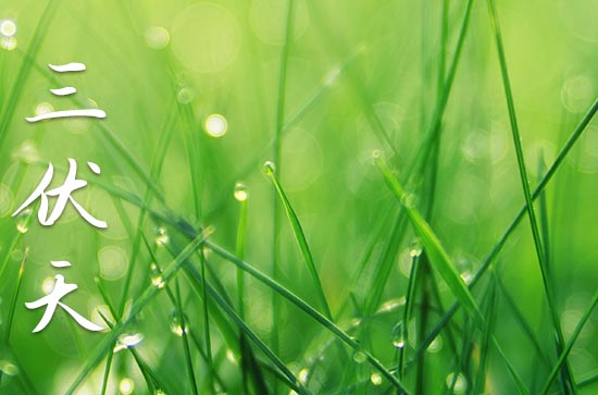 2024年三伏天最热的是几伏 2024年中伏具体时间表