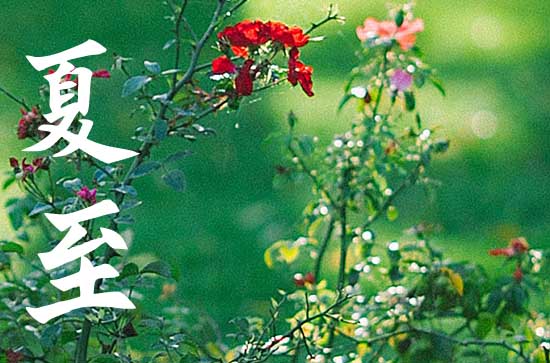 夏至地球在太阳的哪个方向 夏至养生方法