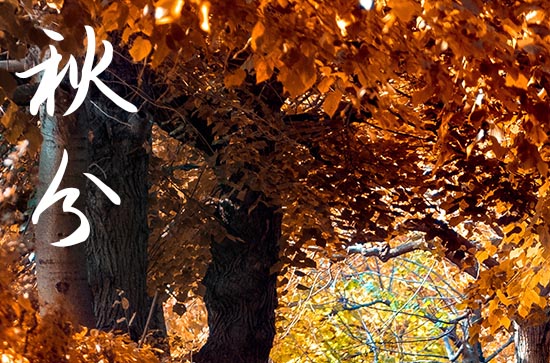 2024年秋分农历时间 2024年9月22日是秋分