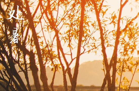 2024年处暑是哪一天 处暑气象变化