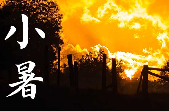 小暑食新是什么意思,小暑食新吃什么