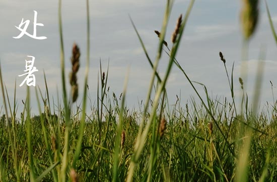 2024年处暑是哪天 处暑的风俗