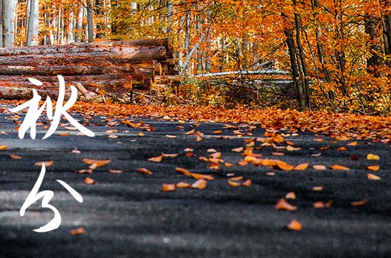 秋分名篇佳作 有关秋分的诗词