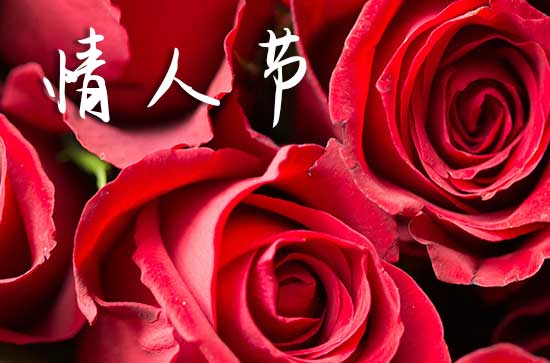 2025年520情人节是登记结婚证的好日子吗 2025年520情人节登记结婚证好不好