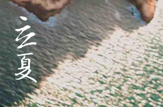 立夏是2024的几月几日 立夏是2024的几月几日