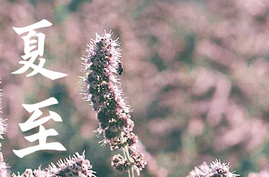 夏至节气有哪些传统习俗   夏至节气的禁忌事项