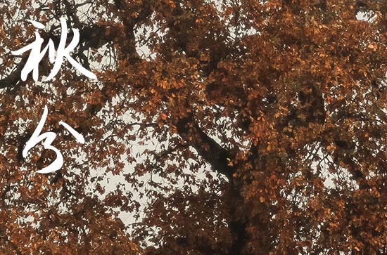 2024秋分是哪天 2024年秋分可以办丧事吗