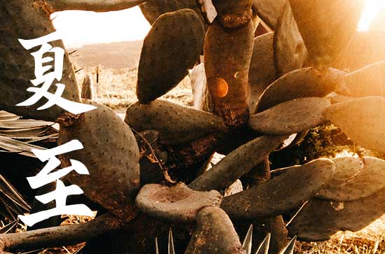 2024年夏至与小暑相隔多少天