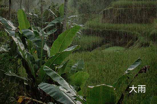 6月15日桂林会下雨 今日大雨转暴雨温度28℃~24℃ 6月15日桂林会下雨 今日大雨转暴雨温度28℃~24℃