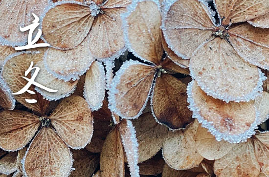 2023年今年立冬是几月几号 2023年立冬弄出行好吗 2023年今年立冬是几月几号 2023年立冬弄出行好吗