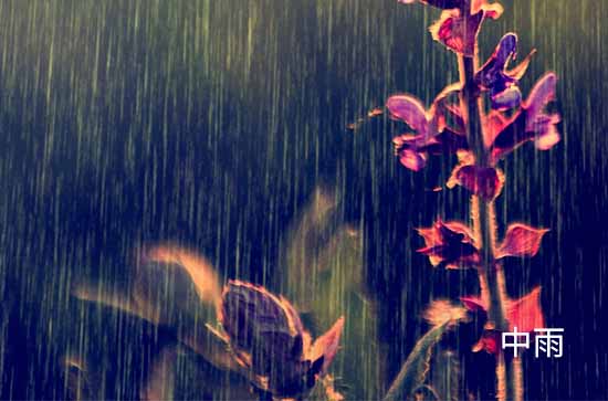 临夏7月23日天气预报:高温27℃~低温14℃，中雨转雨，会下雨