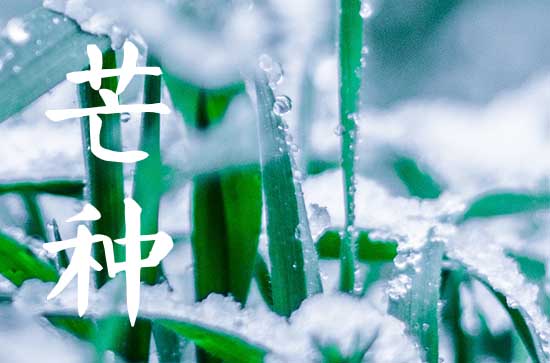 2024年芒种节气吃什么食物好 2024年芒种节气吃什么食物好