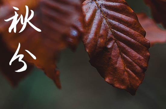 2024年秋分是几点几分几秒 2024年秋分可以举行成年礼吗