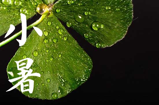 民间小暑吃四味是哪四味   民间小暑吃什么