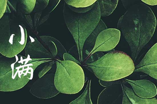 2023年小满结婚好吗 2023小满宜嫁娶吗