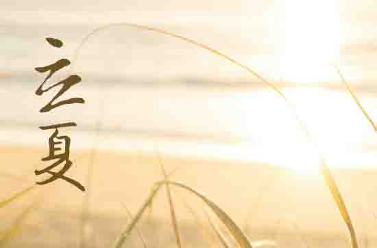 2024年立夏和夏至各代表什么意思