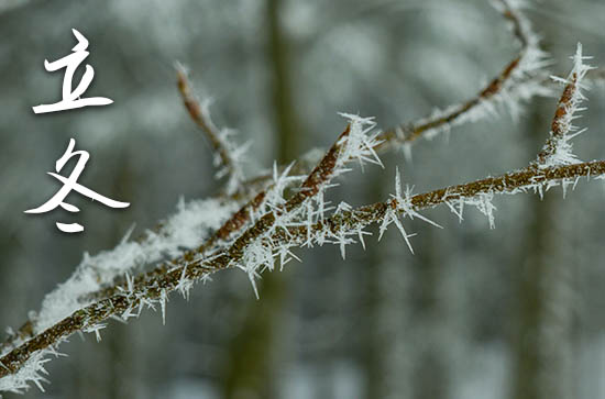 2023年立冬农历时间 2023年立冬是嫁娶的好日子吗 2023年立冬农历时间 2023年立冬是嫁娶的好日子吗