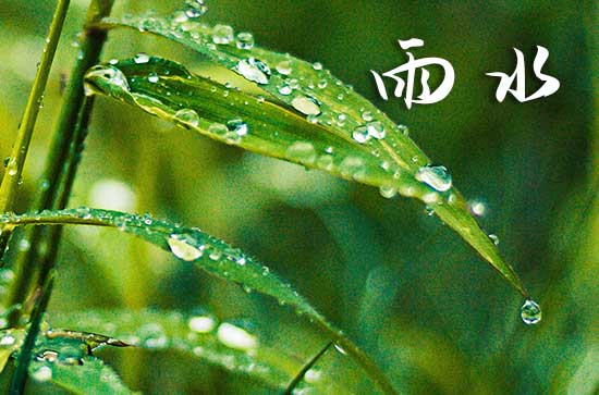 雨水节气一定会下雨吗 2024年雨水节气会不会下雨