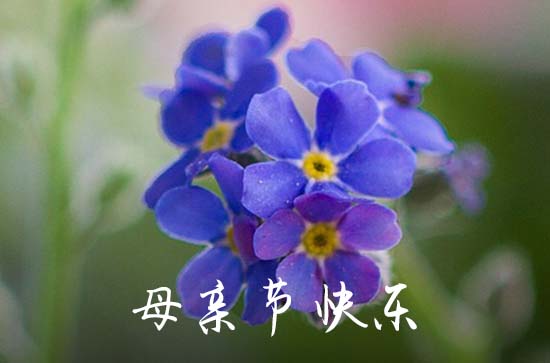 2024年母亲节是哪一天几月几日 具体什么时候