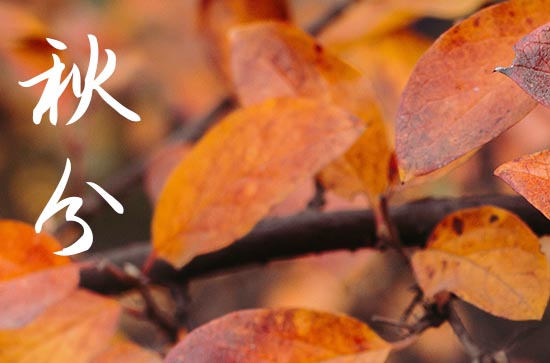 2024秋分祝福语简短