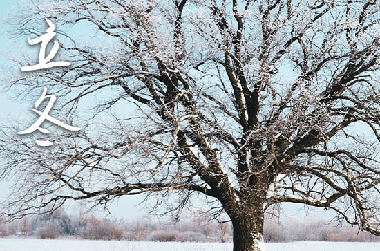 2024年立冬是什么时候时间 2024年立冬送聘礼行吗