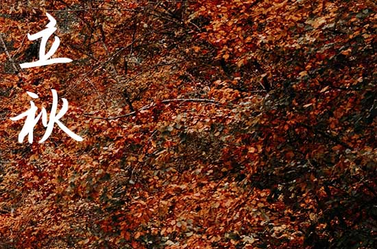 今年立秋是8月7号几点2024