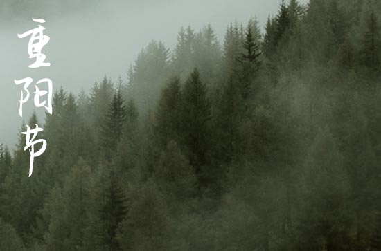 古代重阳节喝什么酒 古代重阳节为什么要喝菊花酒